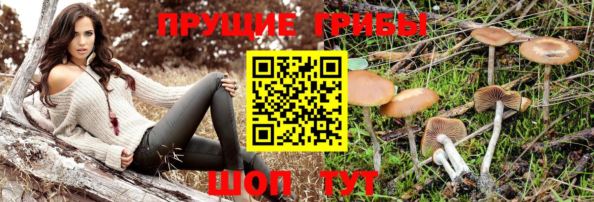 Псилоцибиновые грибы Magic Shrooms Рыбинск