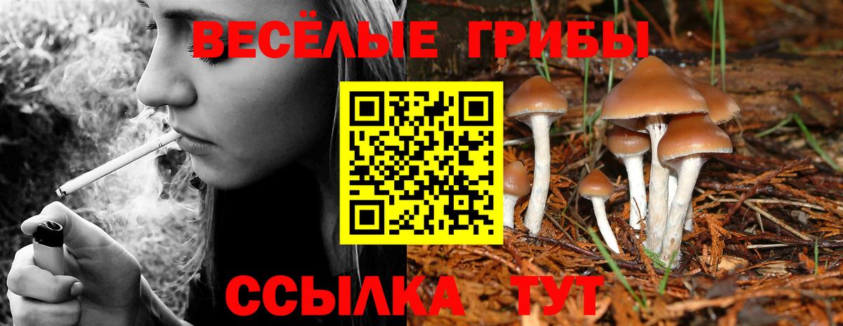 Галлюциногенные грибы прущие грибы  Галлюциногенные грибы Psilocybine cubensis  Рыбинск  Вход с VPN 